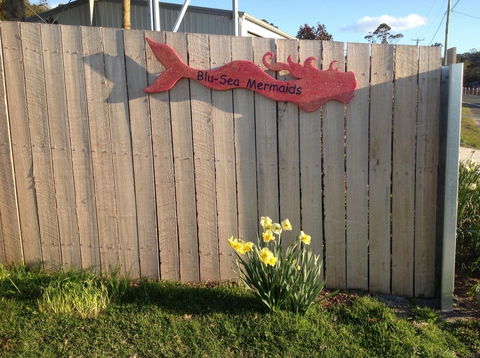 Mermaids Of Bicheno - Darwin Holiday 17