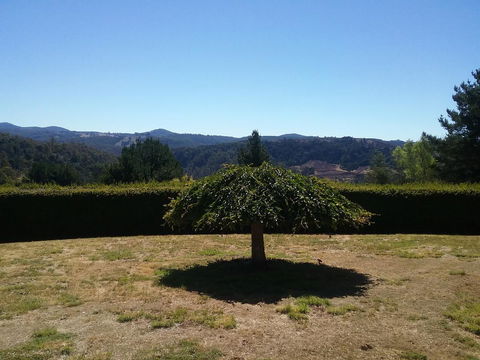 Robin\'s Nest B&B - Darwin Holiday 28