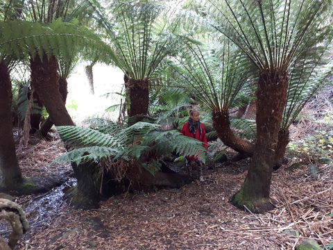 Robin\'s Nest B&B - Darwin Holiday 9