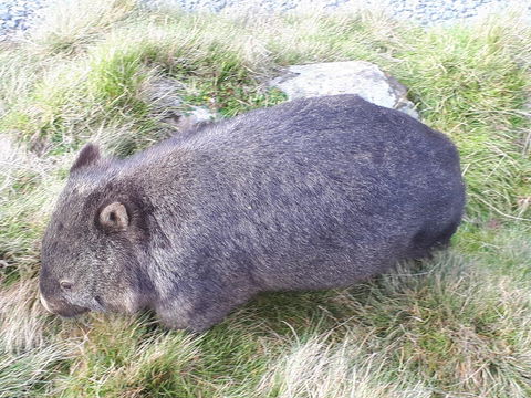 Robin\'s Nest B&B - Darwin Holiday 19