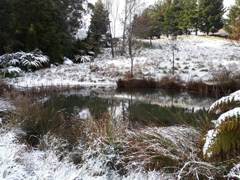 Robin\'s Nest B&B - Darwin Holiday 25