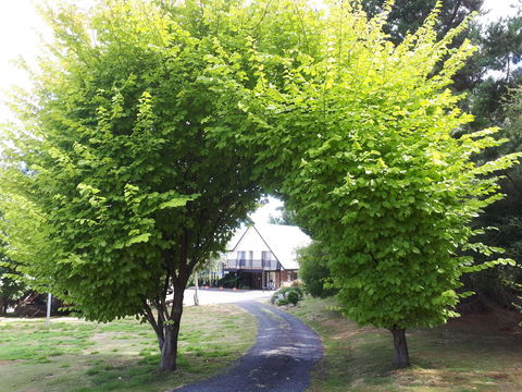 Robin\'s Nest B&B - Darwin Holiday 10