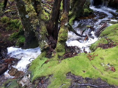 Robin\'s Nest B&B - Darwin Holiday 27