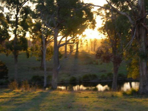 Platypus Park Country Retreat - Darwin Holiday 30