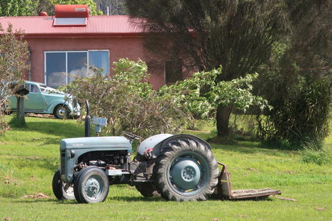 Cherry Top Farmstay - Boutique Eco Village - Darwin Holiday 25