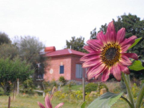 Cherry Top Farmstay - Boutique Eco Village - Darwin Holiday 27