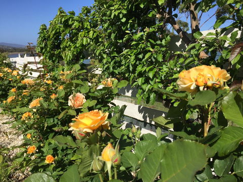 Garden By The Beach - Gateway To The East Coast, Close To Airport - Darwin Holiday 25