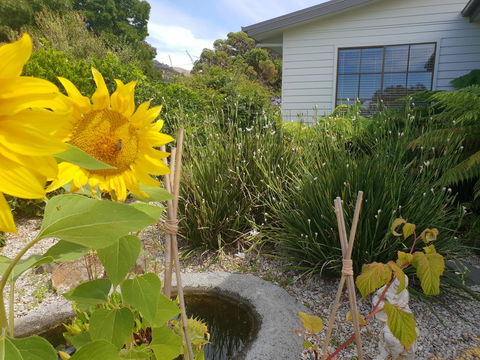 Garden By The Beach - Gateway To The East Coast, Close To Airport - Darwin Holiday 13
