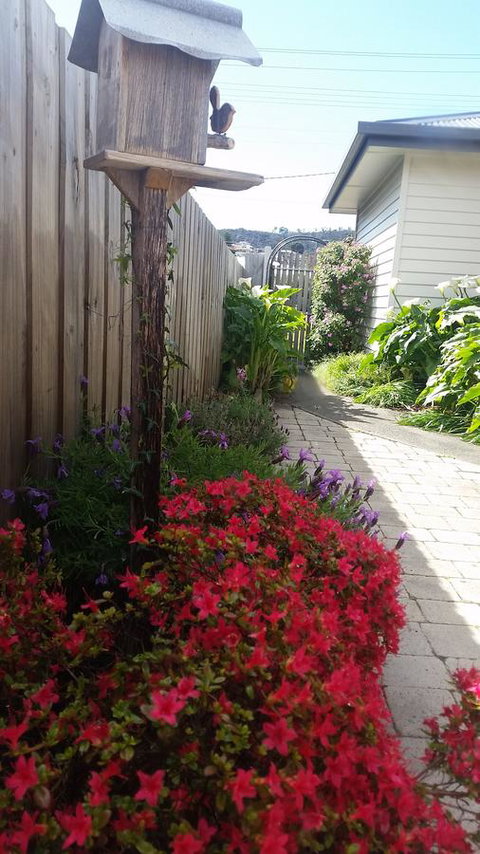 Driftwood-Cottage - Darwin Holiday 16
