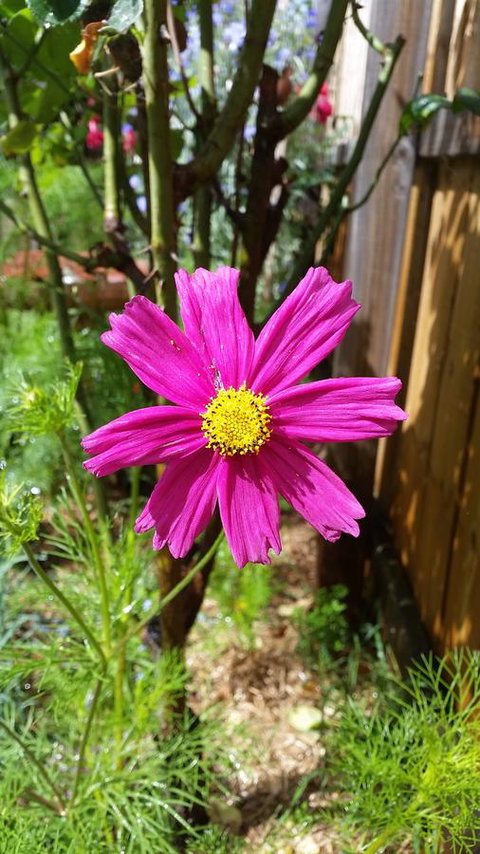 Driftwood-Cottage - Darwin Holiday 27