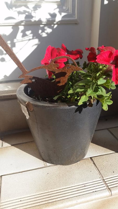 Driftwood-Cottage - Darwin Holiday 36