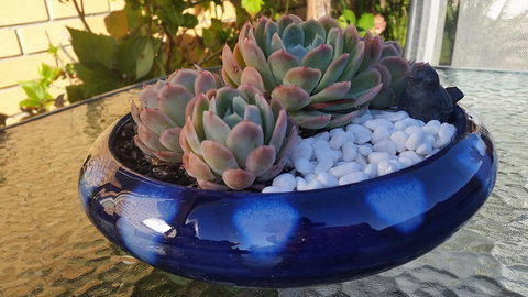 Driftwood-Cottage - Darwin Holiday 37