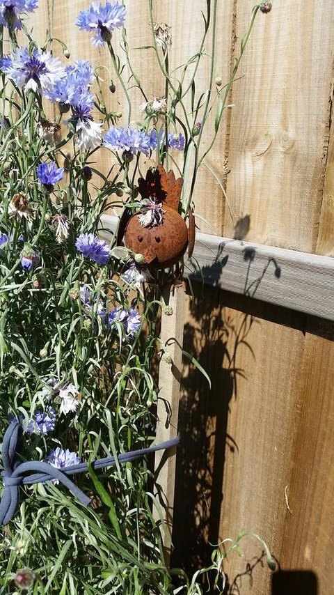 Driftwood-Cottage - Darwin Holiday 26
