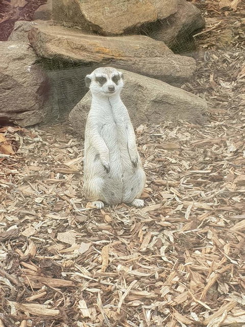 Driftwood-Cottage - Darwin Holiday 44