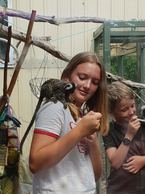 Driftwood-Cottage - Darwin Holiday 43