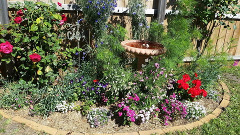 Driftwood-Cottage - Darwin Holiday 25