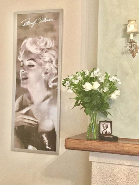 Jones On Wilson Boutique B&B - Darwin Holiday 1