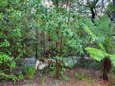 Roland B&B - Darwin Holiday 12