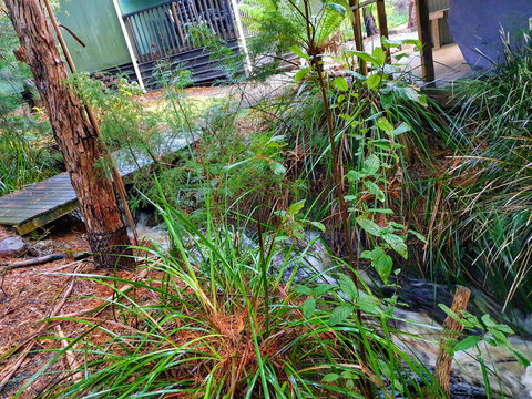 Roland B&B - Darwin Holiday 17