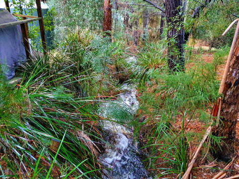 Roland B&B - Darwin Holiday 22