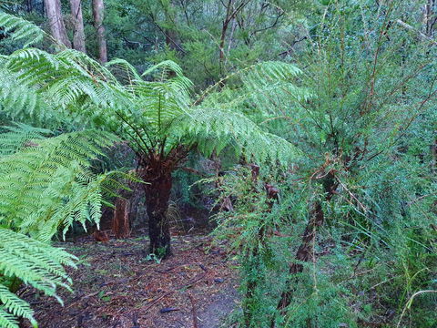 Roland B&B - Darwin Holiday 21