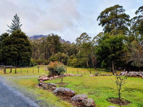 Roland B&B - Darwin Holiday 19