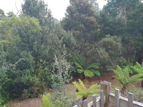 Roland B&B - Darwin Holiday 41