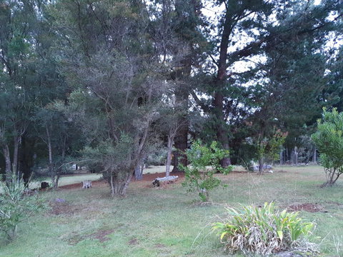 Roland B&B - Darwin Holiday 38