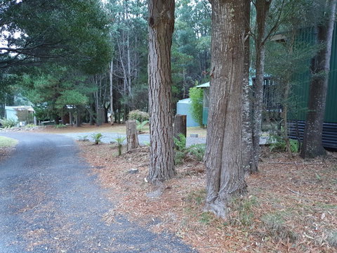 Roland B&B - Darwin Holiday 43