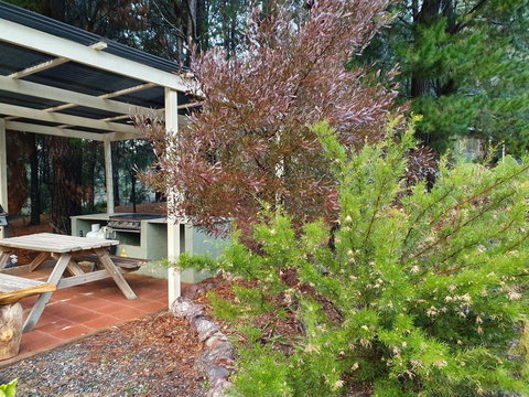 Roland B&B - Darwin Holiday 15