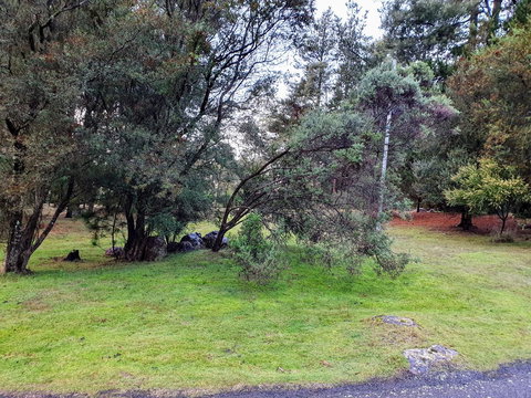 Roland B&B - Darwin Holiday 20