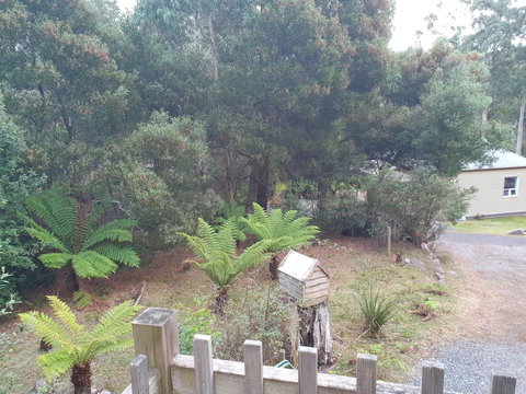 Roland B&B - Darwin Holiday 39