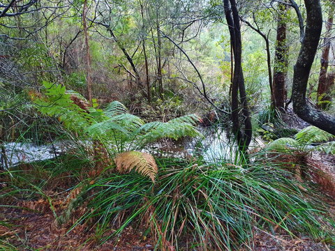 Roland B&B - Darwin Holiday 29