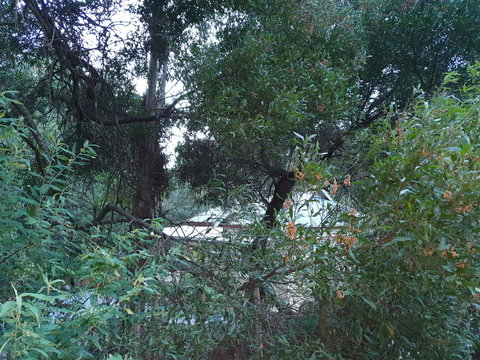 Roland B&B - Darwin Holiday 44