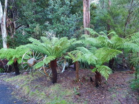 Roland B&B - Darwin Holiday 33