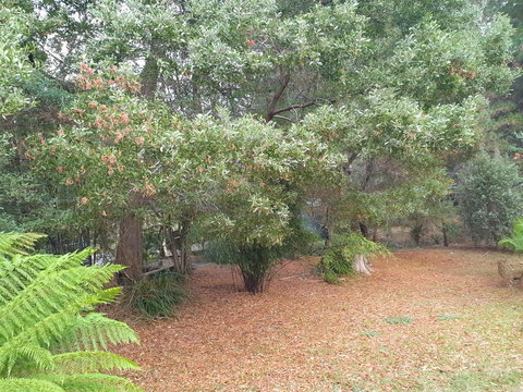 Roland B&B - Darwin Holiday 40