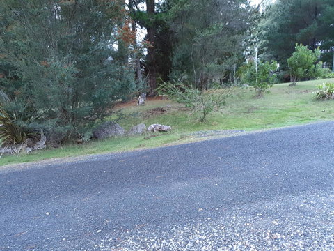 Roland B&B - Darwin Holiday 24