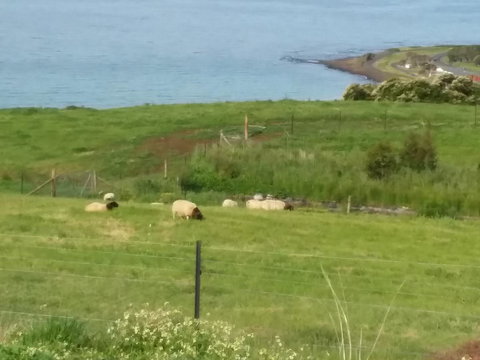 Penguin Seaside Farm - Darwin Holiday 7