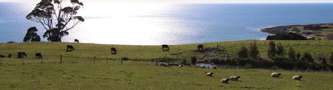 Penguin Seaside Farm - Darwin Holiday 2