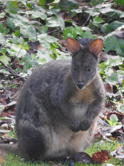 Tamar House - Darwin Holiday 25