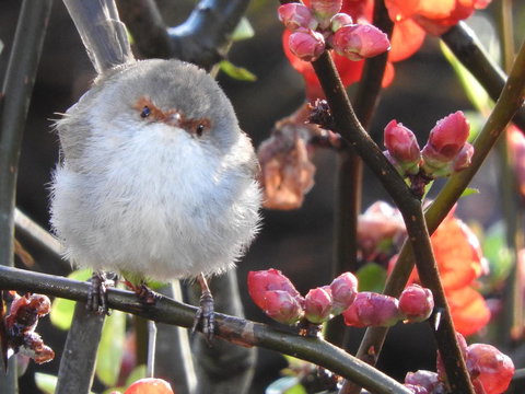 Tamar House - Darwin Holiday 17