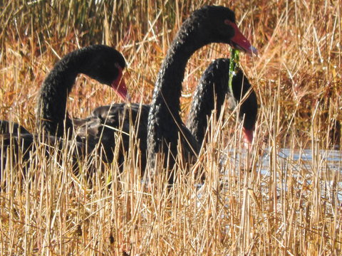 Tamar House - Darwin Holiday 9