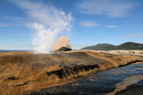 Suntrap Cove Bicheno - Darwin Holiday 30