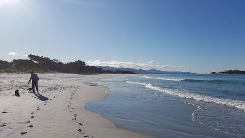 Suntrap Cove Bicheno - Darwin Holiday 5