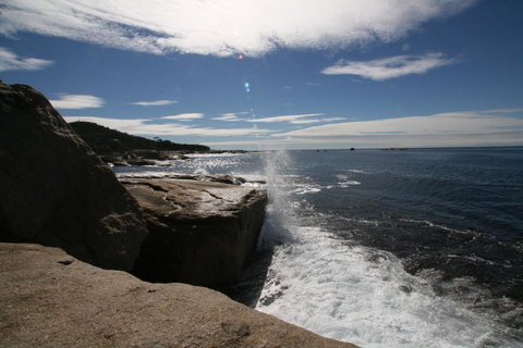 Suntrap Cove Bicheno - Darwin Holiday 40