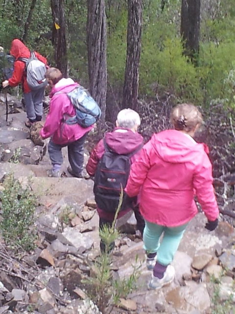 Suntrap Cove Bicheno - Darwin Holiday 2