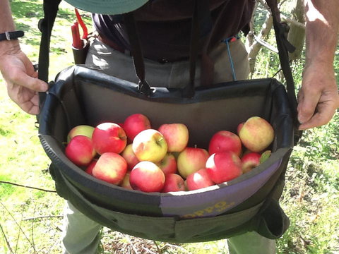 Eureka Farm - Darwin Holiday 24