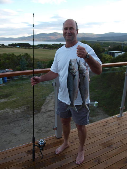 Seymour Waves - Darwin Holiday 16