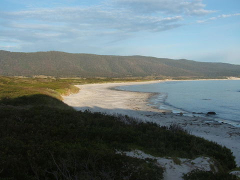 Seymour Waves - Darwin Holiday 20