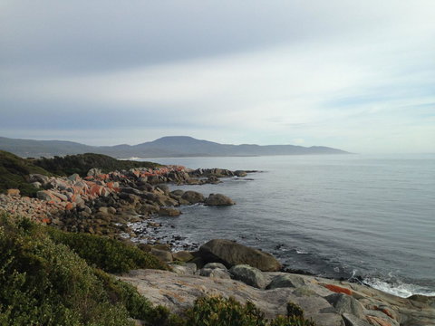 Seymour Waves - Darwin Holiday 12